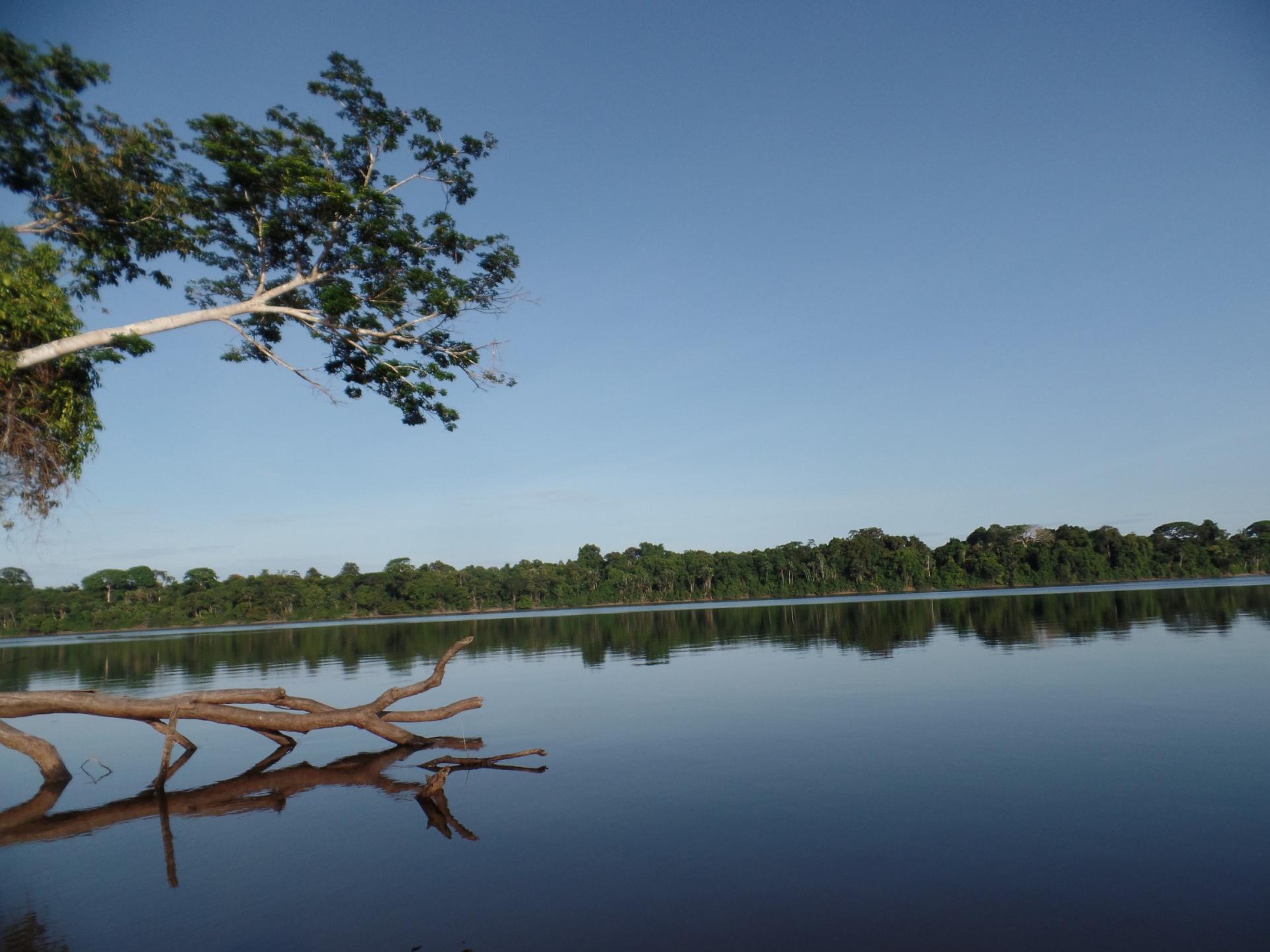 Acceuil 1 copier-magic-amazonie